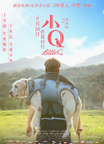 91网站视频在线观看